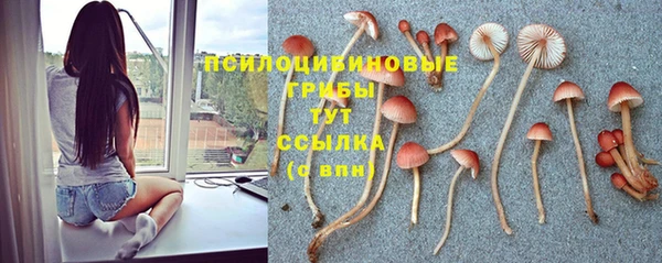 СК Аркадак