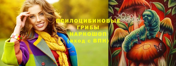 СК Аркадак