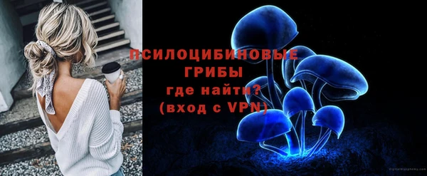 спиды Покачи